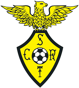 Logo 31